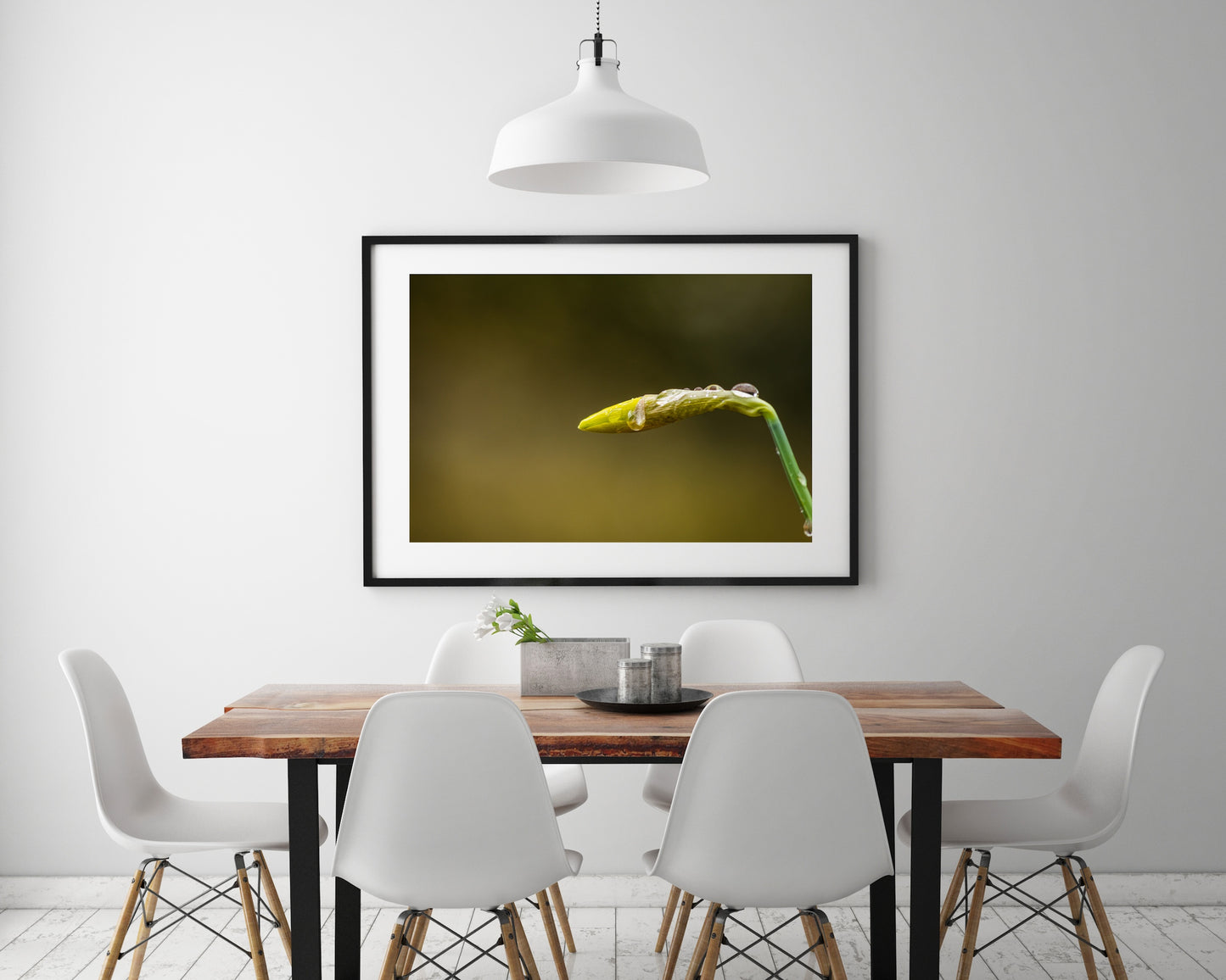 Daffodil Bud