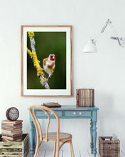 Load image into Gallery viewer, Goldfinch 1
