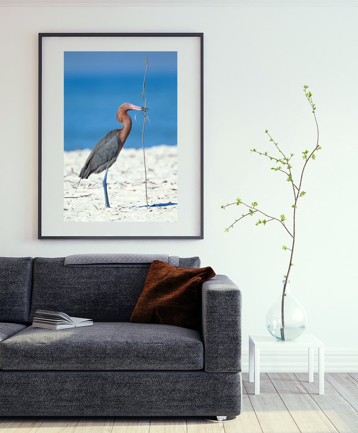 Reddish Egret