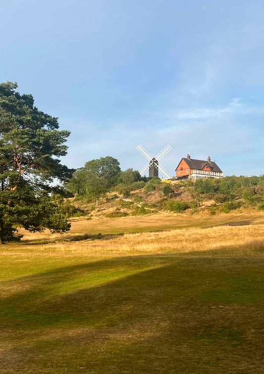 Reigate Clubhouse Colour