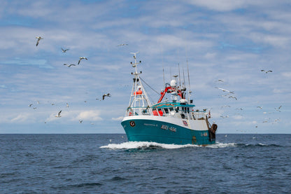 Bringing Home the Catch
