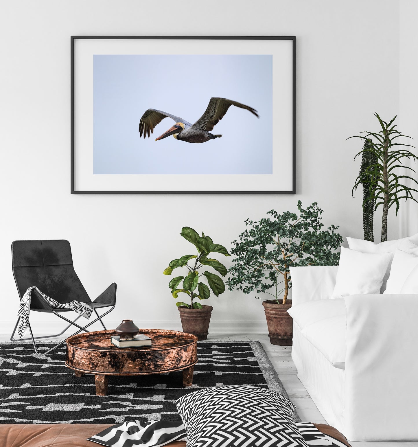 Brown Pelican