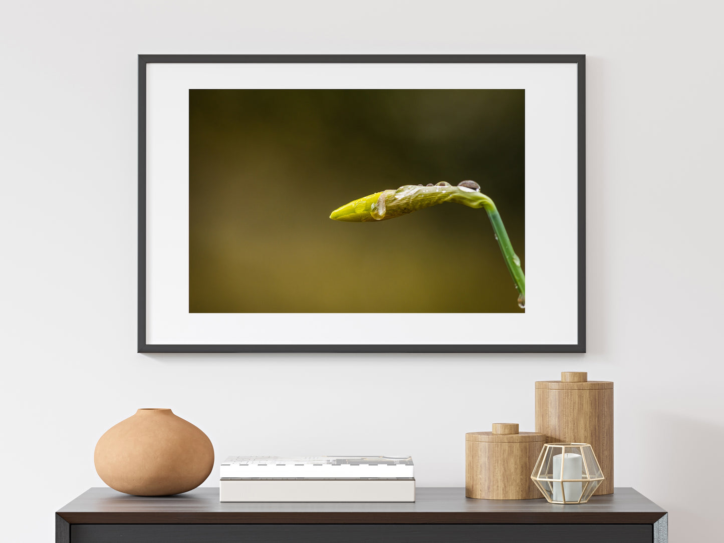 Daffodil Bud