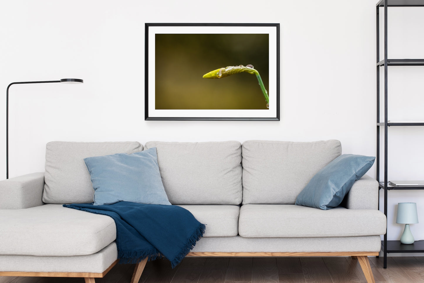 Daffodil Bud