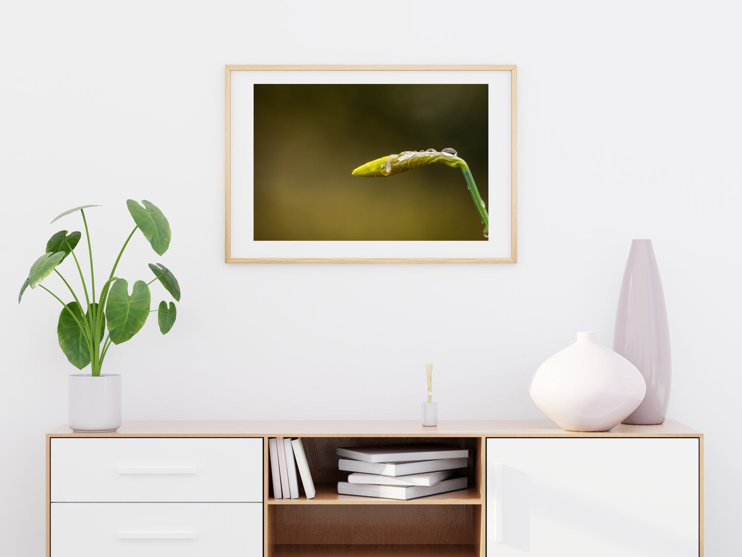 Daffodil Bud