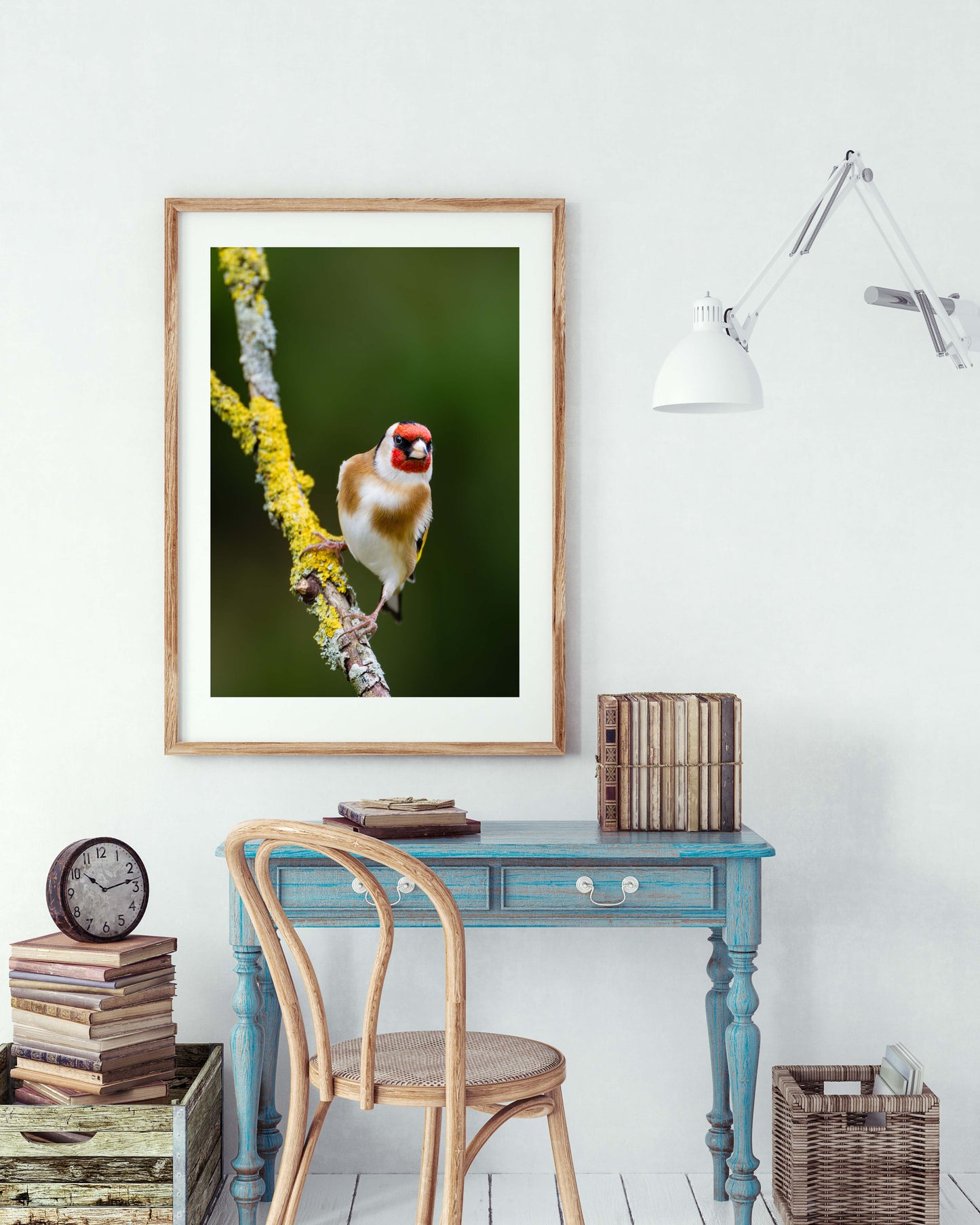 Goldfinch 1