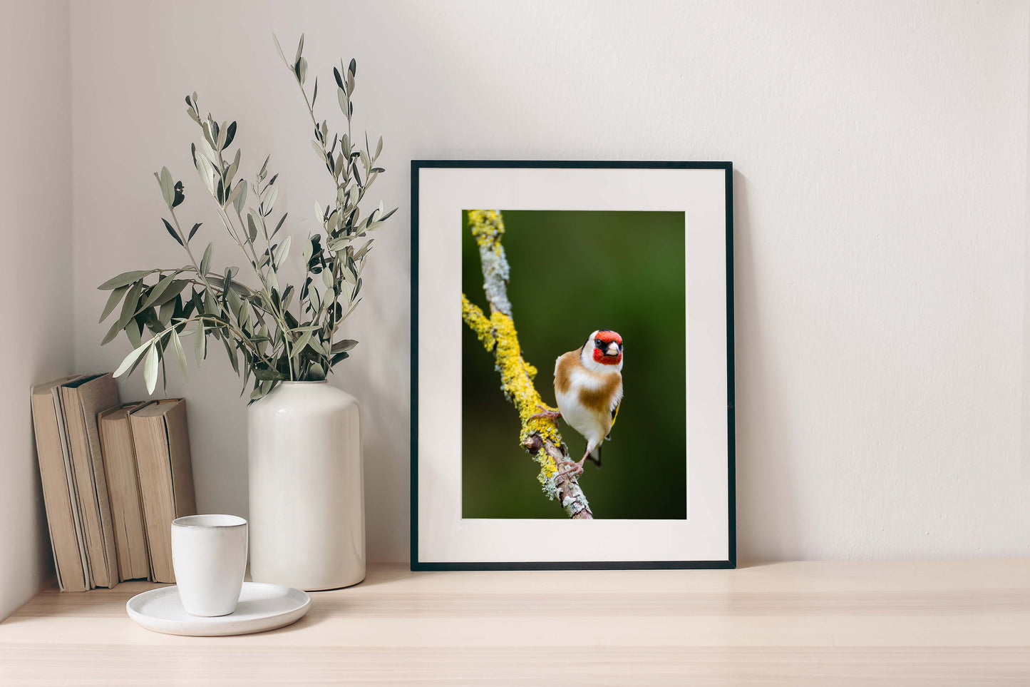 Goldfinch 1