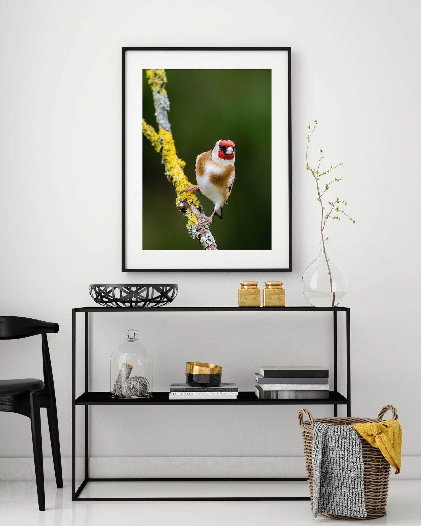 Goldfinch 1