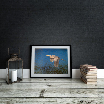 Great Blue Heron