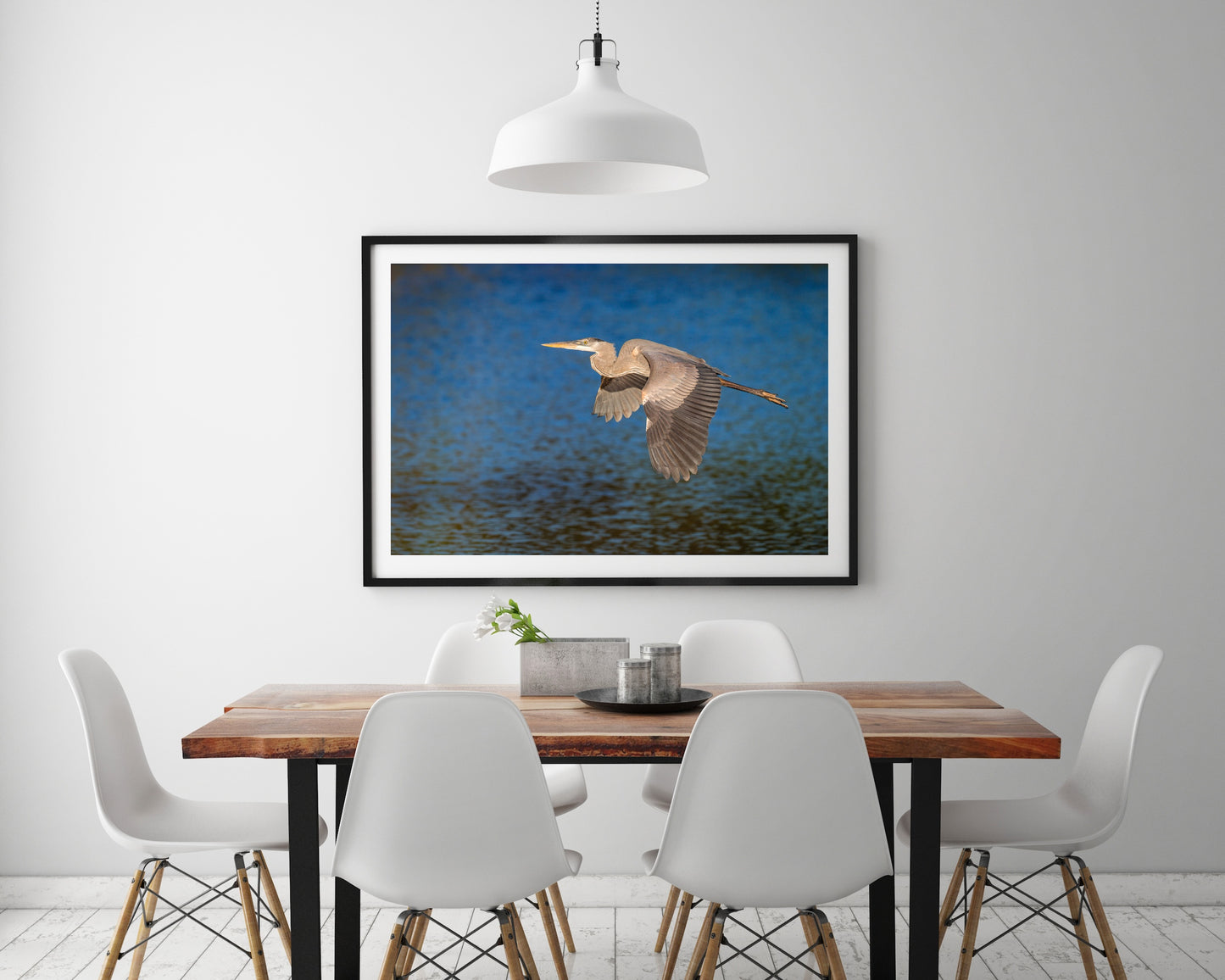 Great Blue Heron