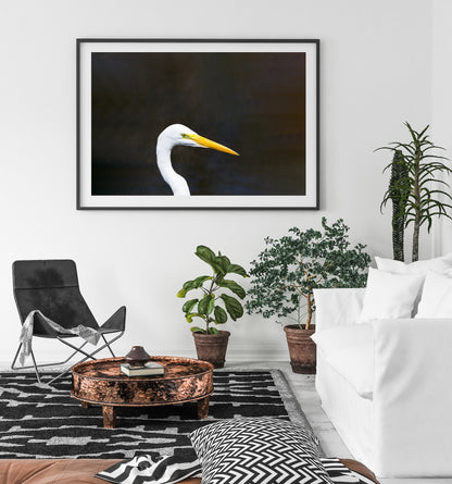 Great Egret