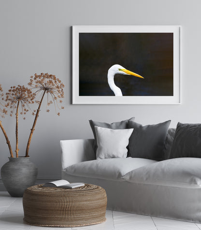 Great Egret