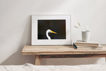 Great Egret