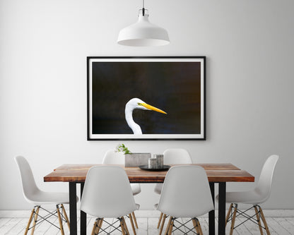 Great Egret