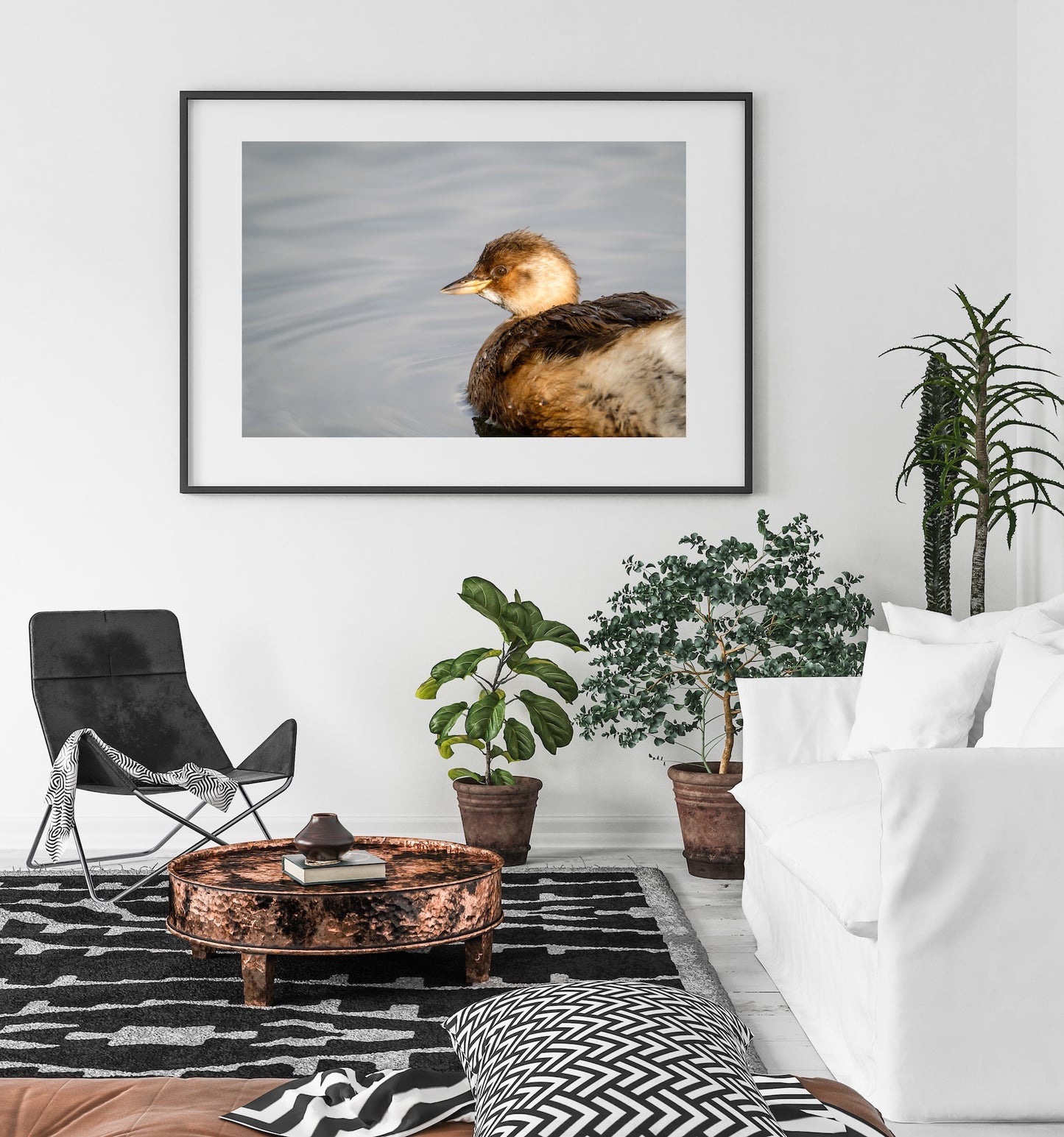 Little Grebe