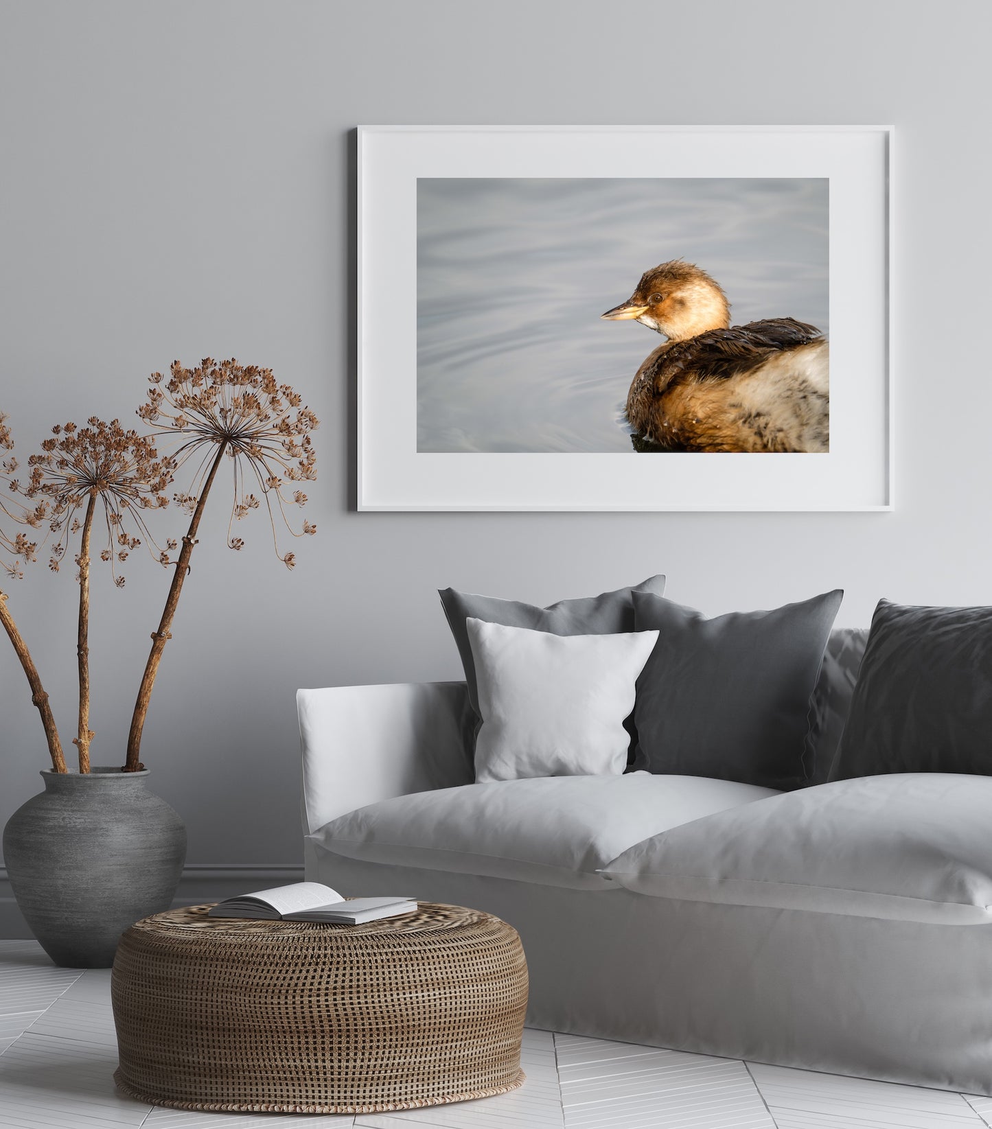 Little Grebe