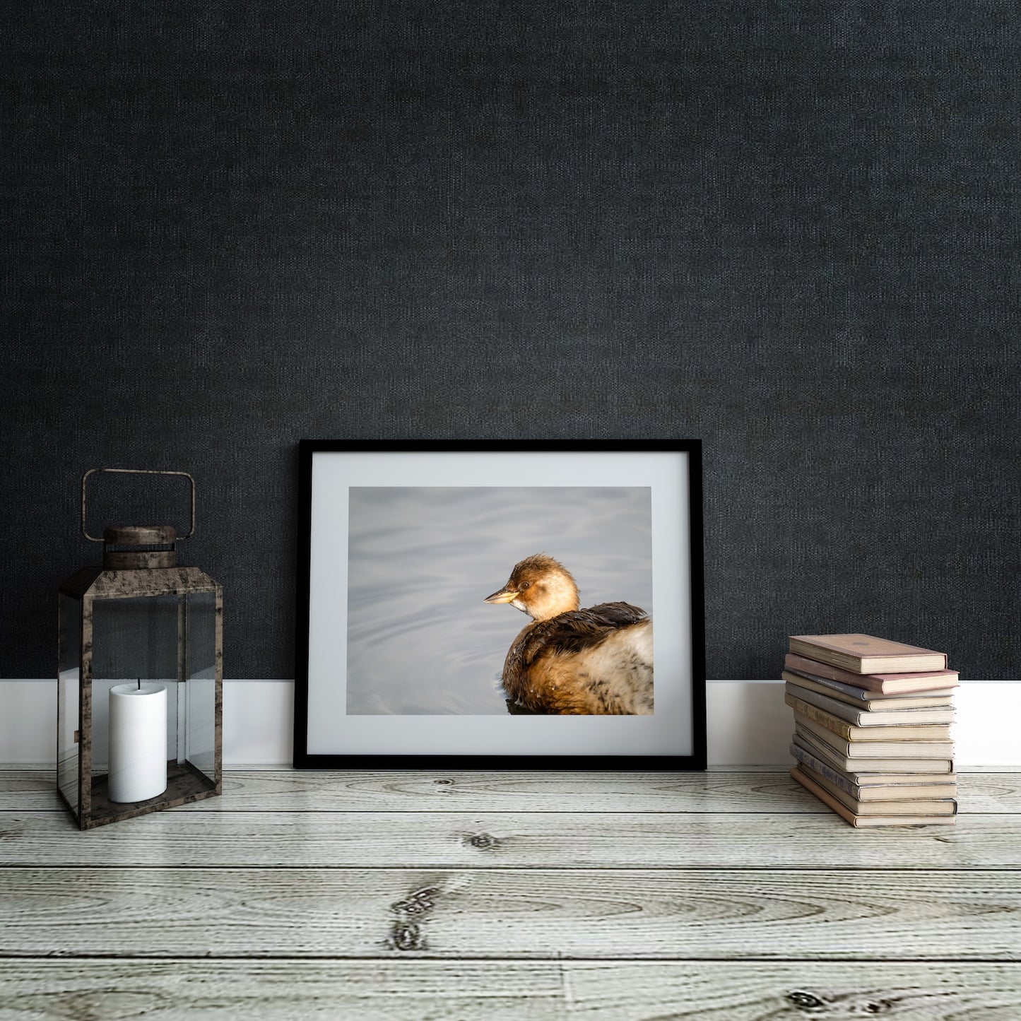 Little Grebe