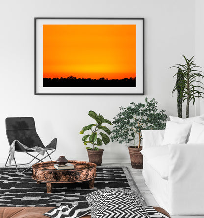 Myakka Sunset, Limited Edition Fine Art Print