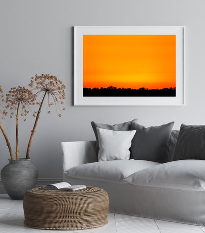 Myakka Sunset, Limited Edition Fine Art Print