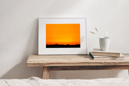 Myakka Sunset, Limited Edition Fine Art Print