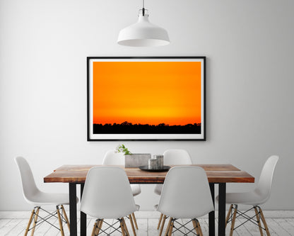Myakka Sunset, Limited Edition Fine Art Print