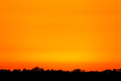 Myakka Sunset, Limited Edition Fine Art Print