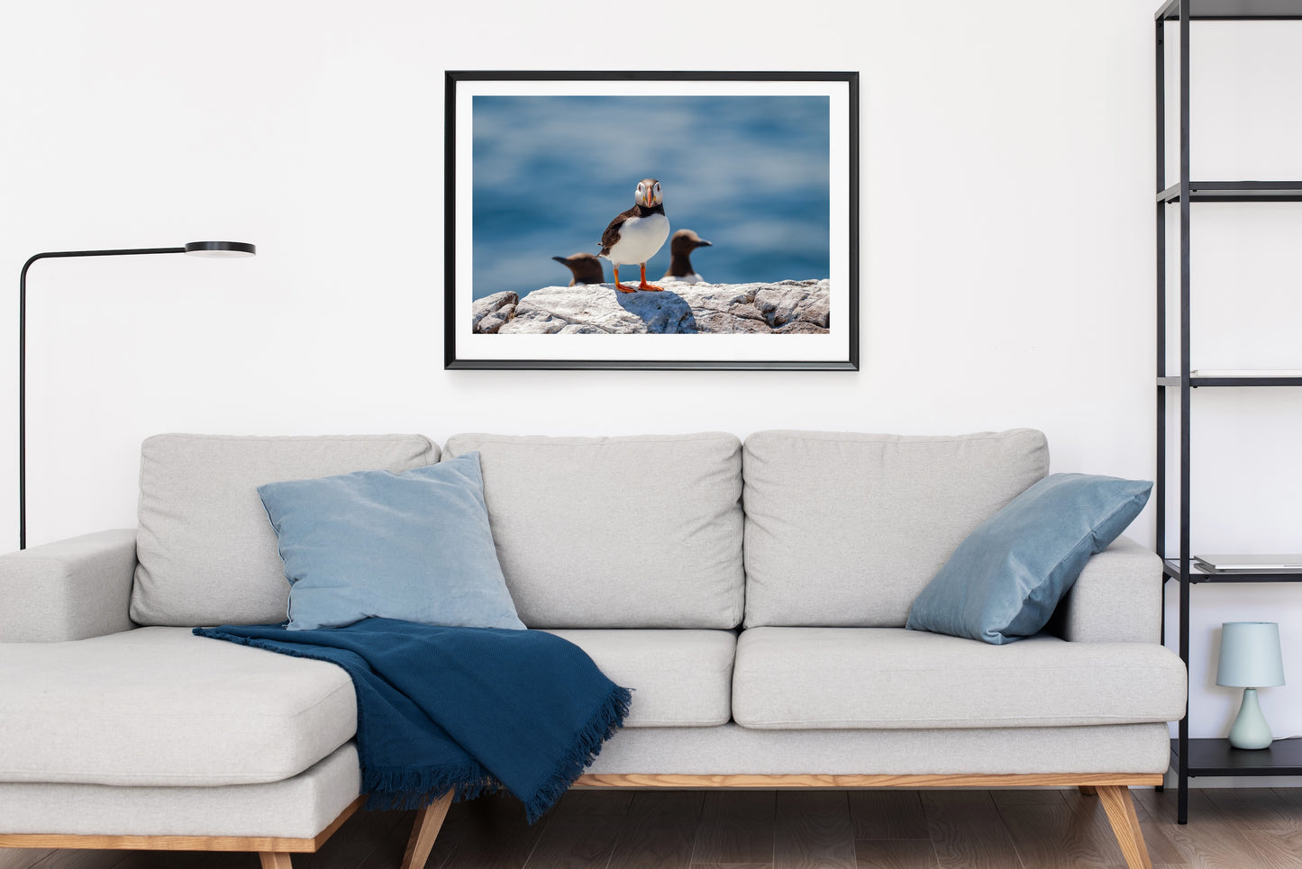 Puffin and Guillemots