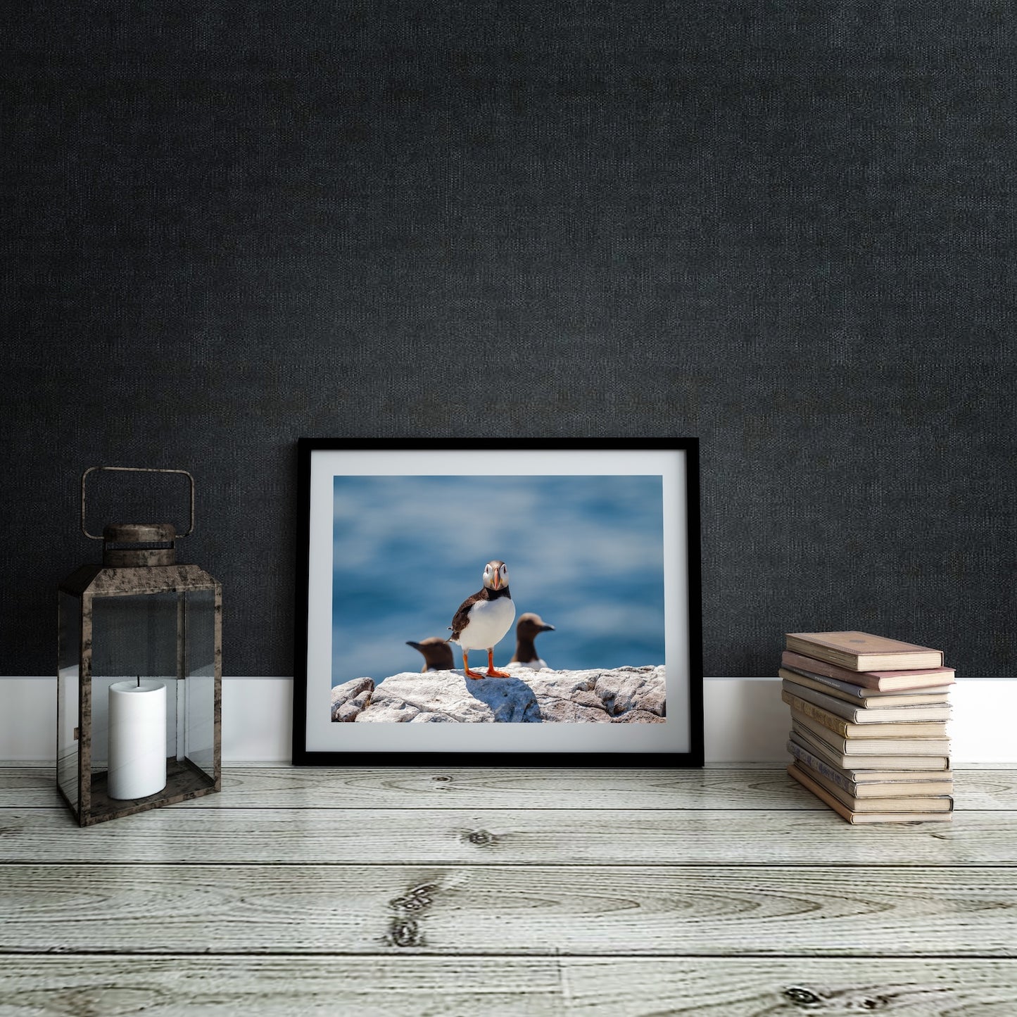 Puffin and Guillemots