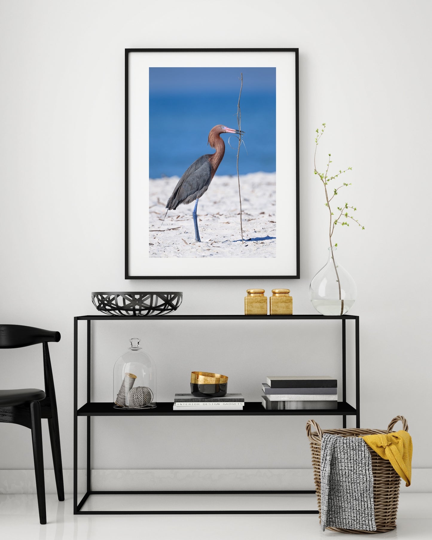 Reddish Egret