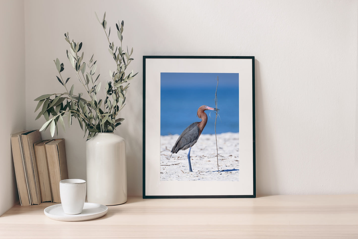 Reddish Egret