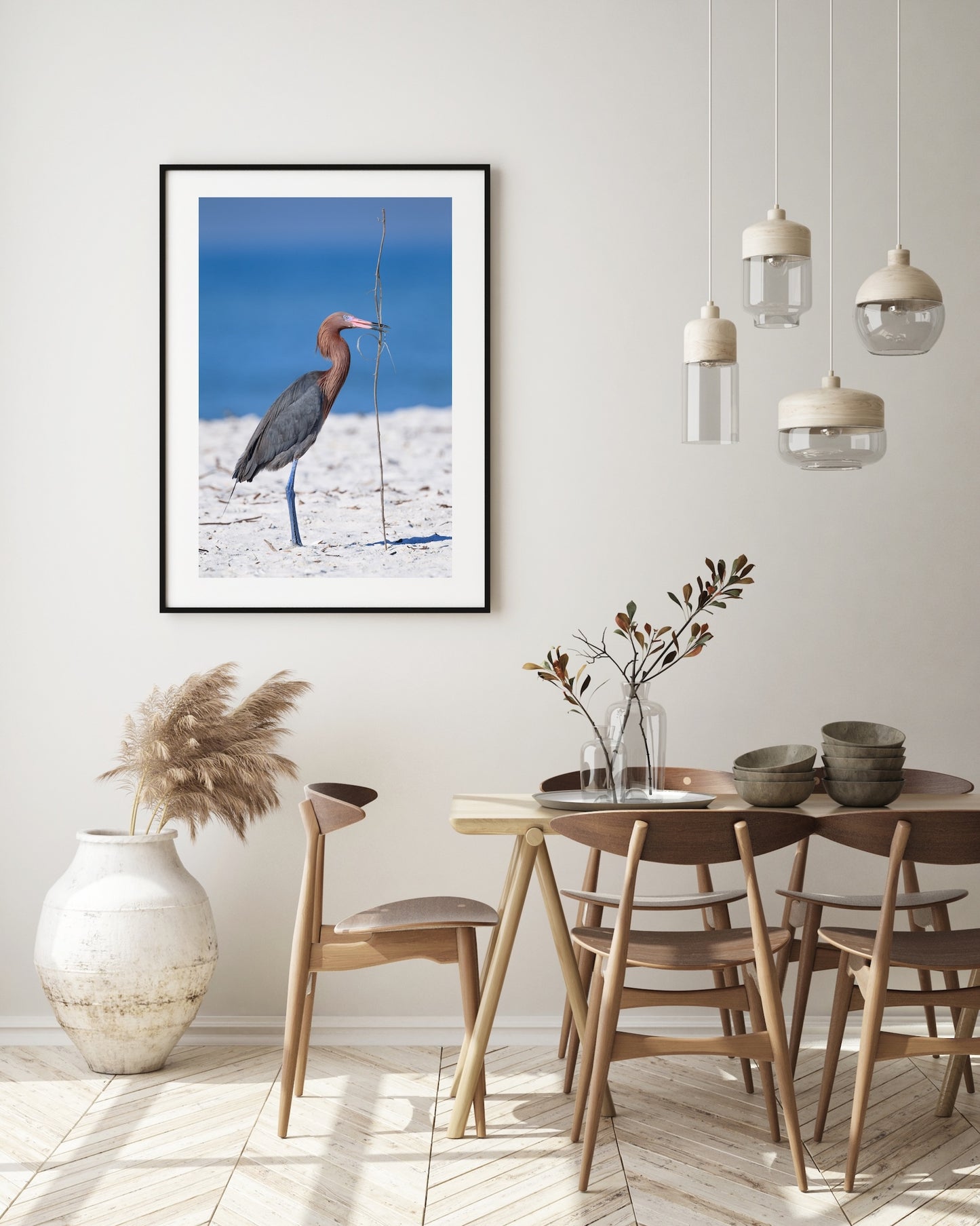 Reddish Egret
