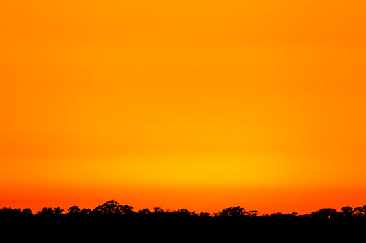 Myakka Sunset