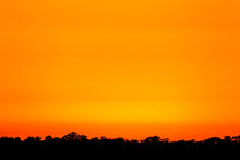Load image into Gallery viewer, Myakka Sunset
