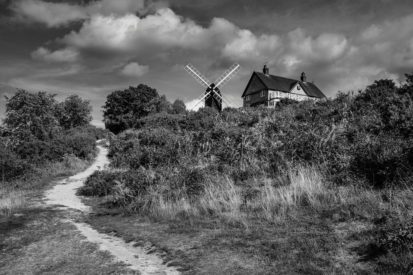 Reigate Heath Windmill